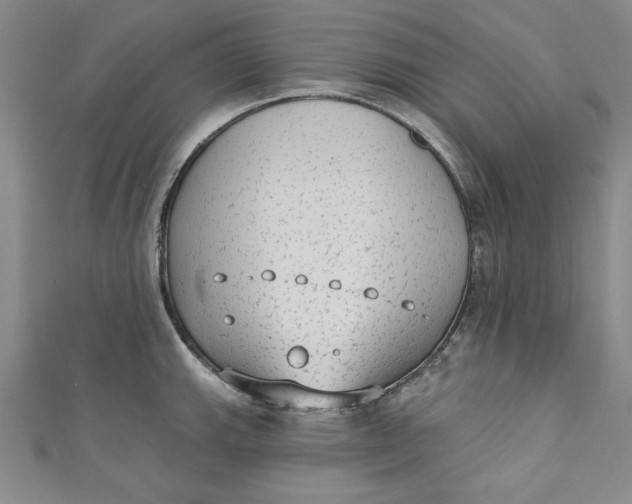 X0000110861143200907021410