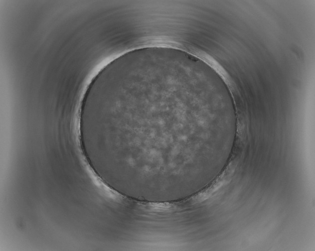 X0000110861144200907021410