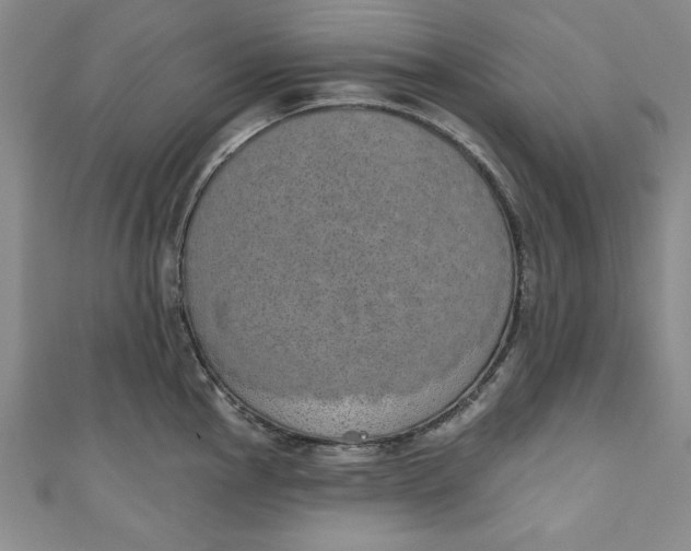 X0000110861145200907021410