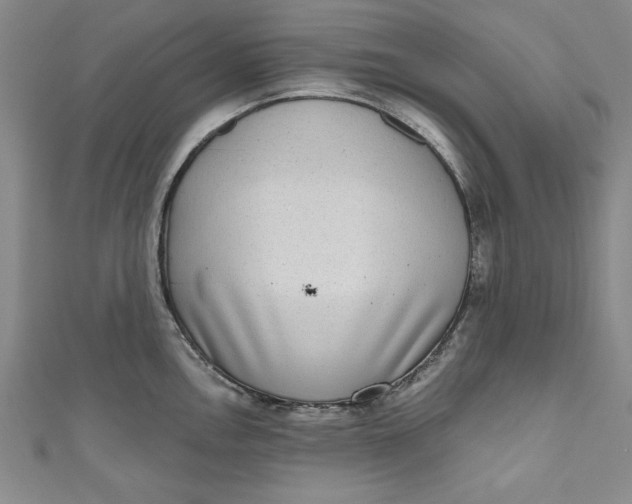 X0000110861146200907021410