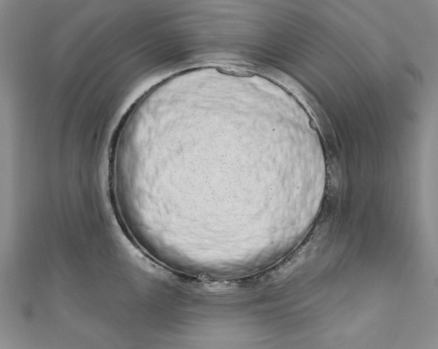 X0000110861147200907021410