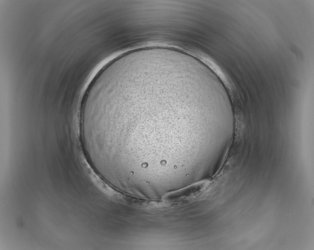 X0000110861148200907021410