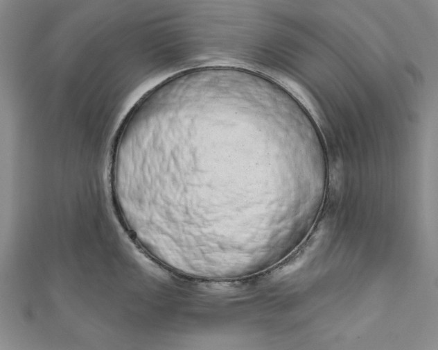 X0000110861149200907021410