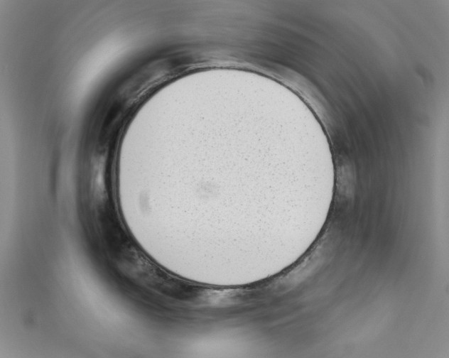 X0000110861150200907021410