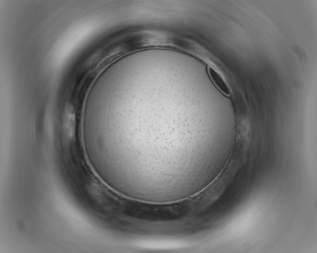 X0000110861151200907021410