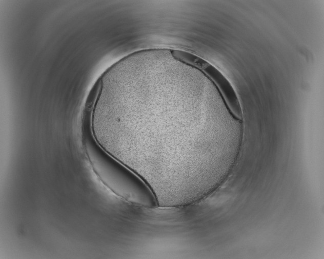 X0000110861152200907021410