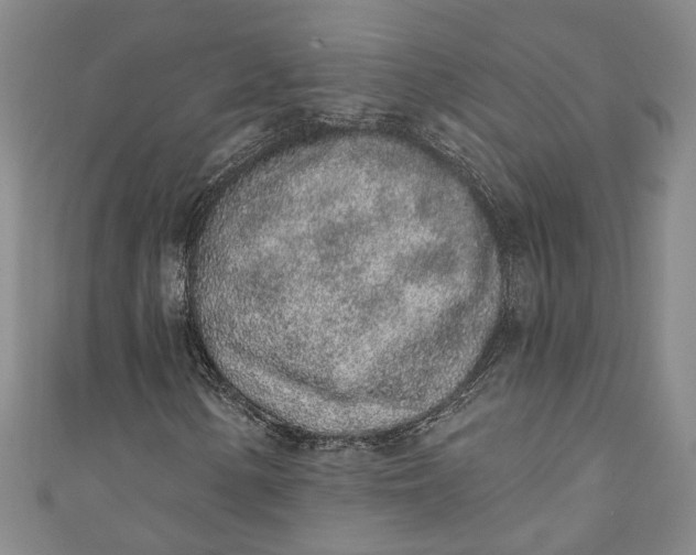 X0000110861154200907021410