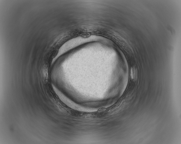 X0000110861155200907021410