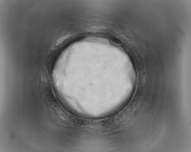 X0000110861158200907021410