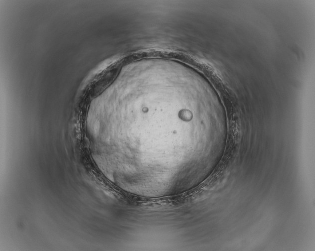 X0000110861159200907021410