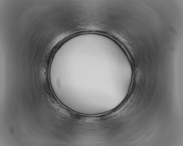 X0000110861163200907021410