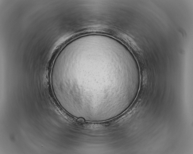 X0000110861164200907021410