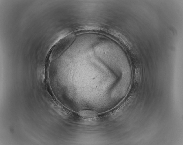 X0000110861165200907021410