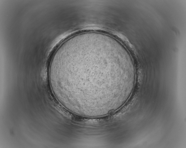 X0000110861167200907021410