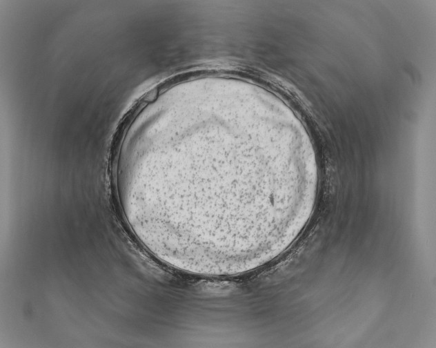 X0000110861168200907021410