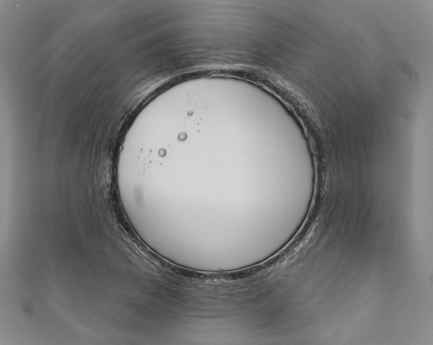 X0000110861169200907021410