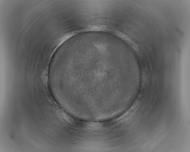 X0000110861170200907021410