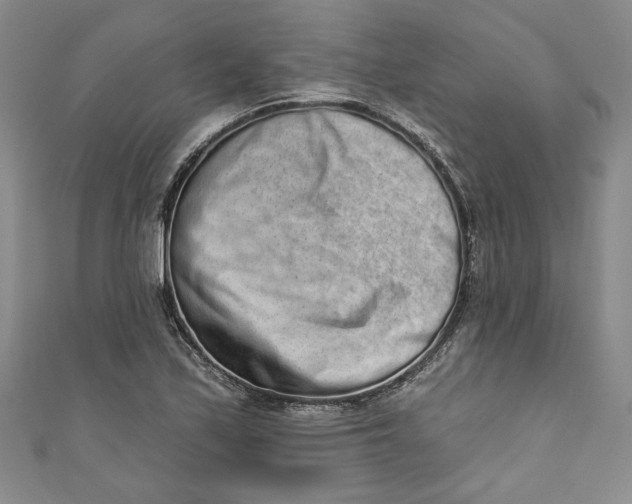 X0000110861171200907021410