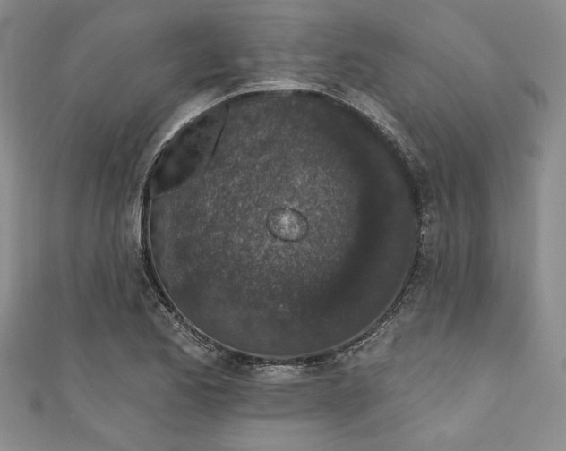 X0000110861173200907021410