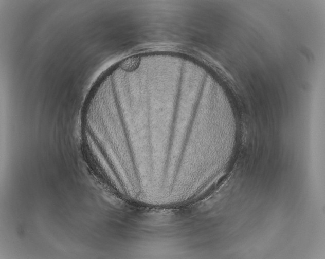 X0000110861174200907021410