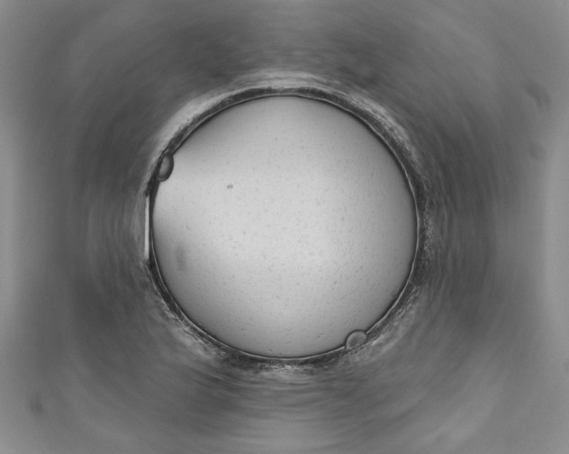 X0000110861175200907021410