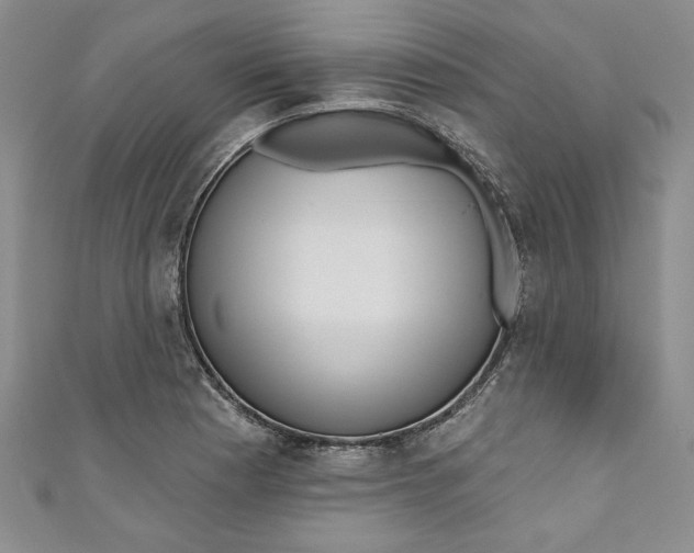 X0000110861177200907021410