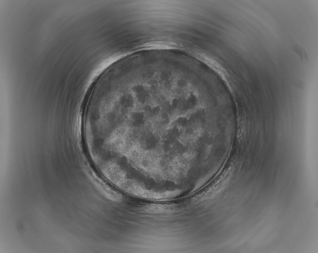 X0000110861179200907021410