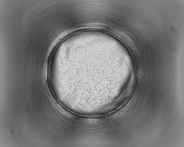 X0000110861180200907021409