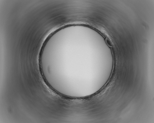 X0000110861181200907021409