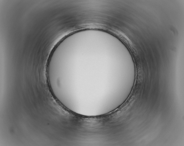 X0000110861182200907021409