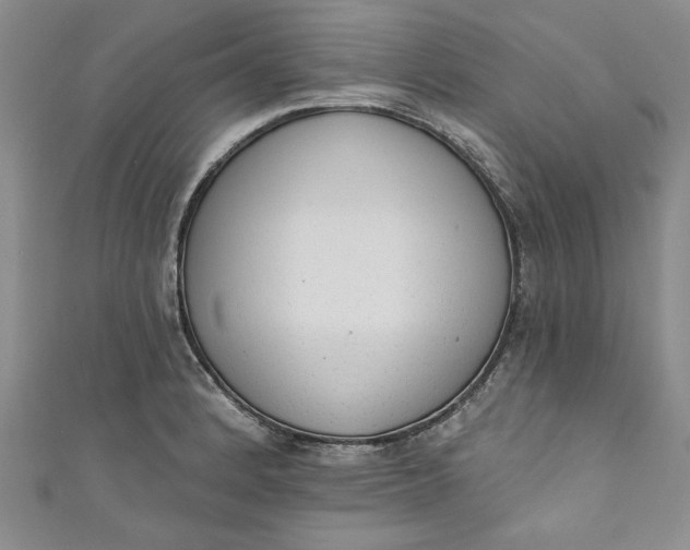 X0000110861184200907021409