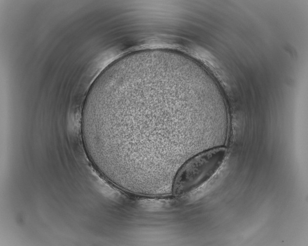 X0000110861185200907021409