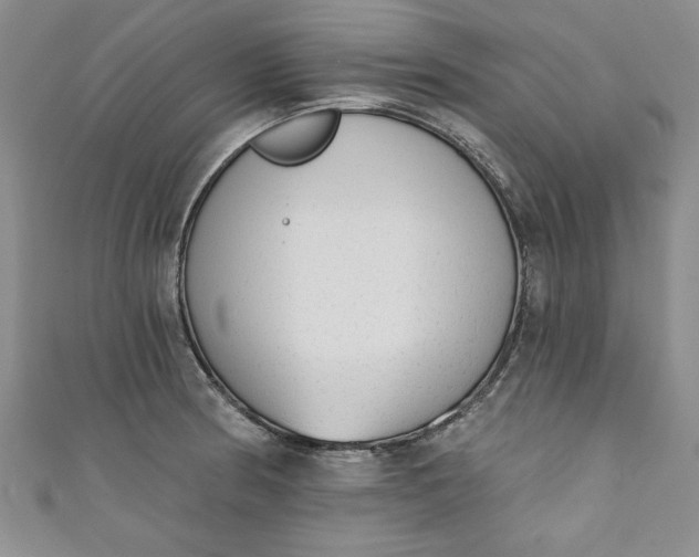 X0000110861186200907021409