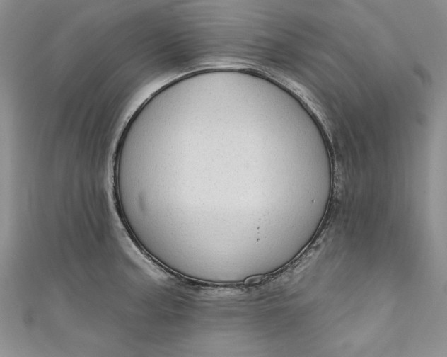 X0000110861187200907021409