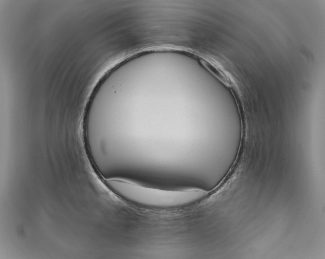 X0000110861189200907021409