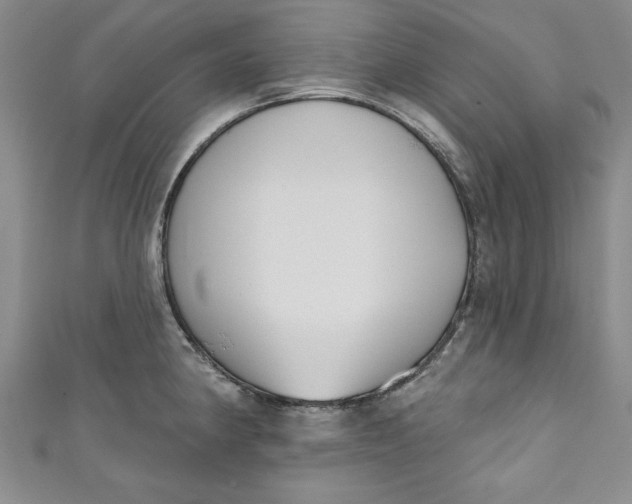 X0000110861190200907021409