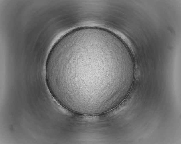 X0000110861191200907021409