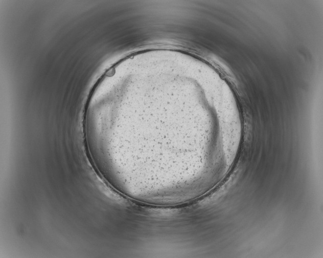 X0000110861192200907021409