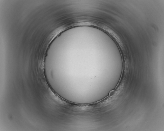 X0000110861193200907021409