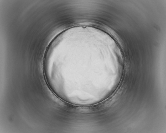 X0000110861194200907021409