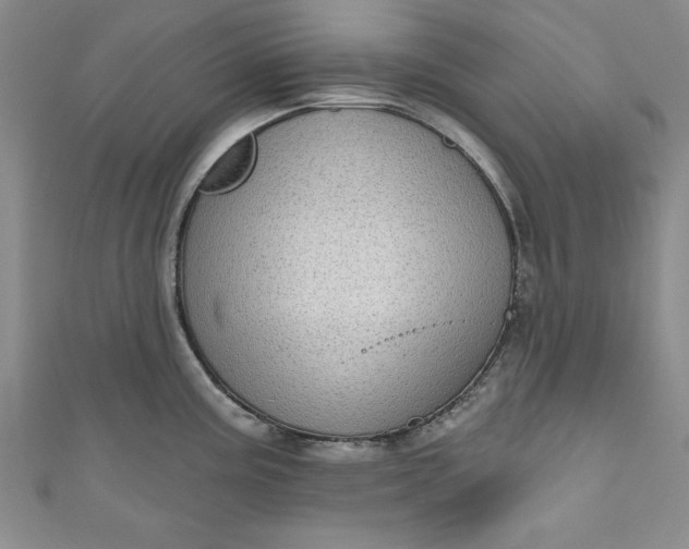 X0000110861195200907021409