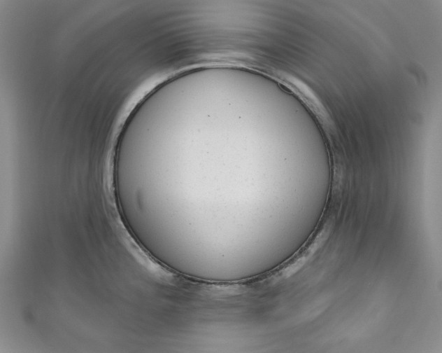 X0000110861196200907021409