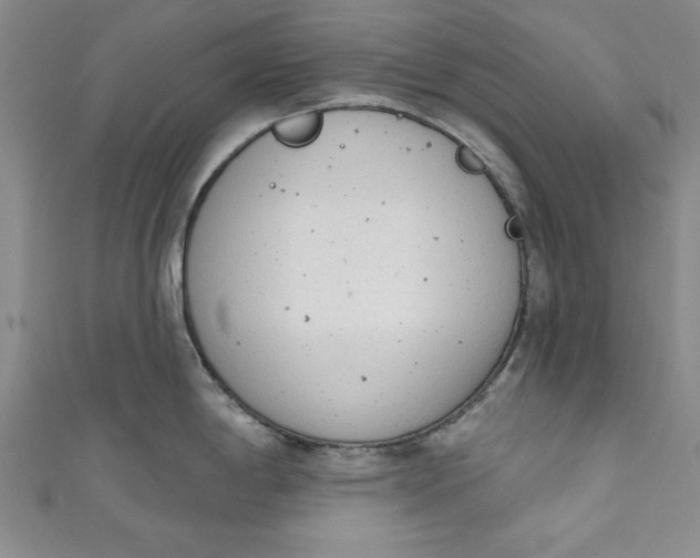 X0000110861198200907021409