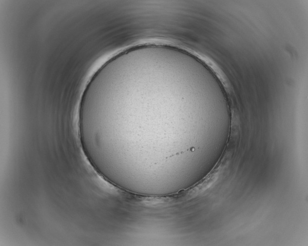 X0000110861199200907021409