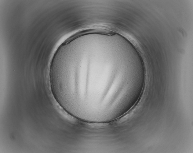 X0000110861200200907021409