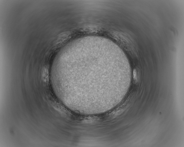 X0000110861203200907021408