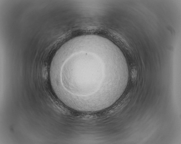 X0000110861204200907021408