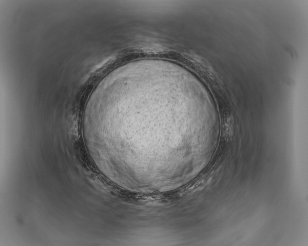 X0000110861205200907021409