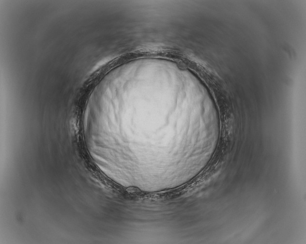 X0000110861206200907021409