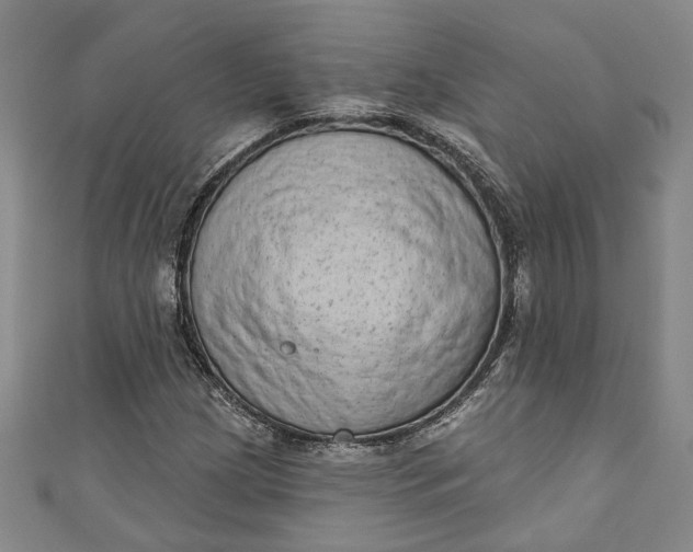 X0000110861209200907021409